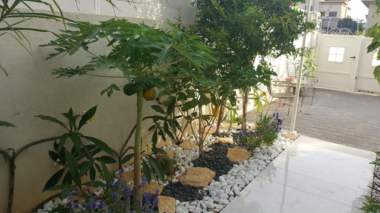 Regina'S Place Or Akiva Екстер'єр фото